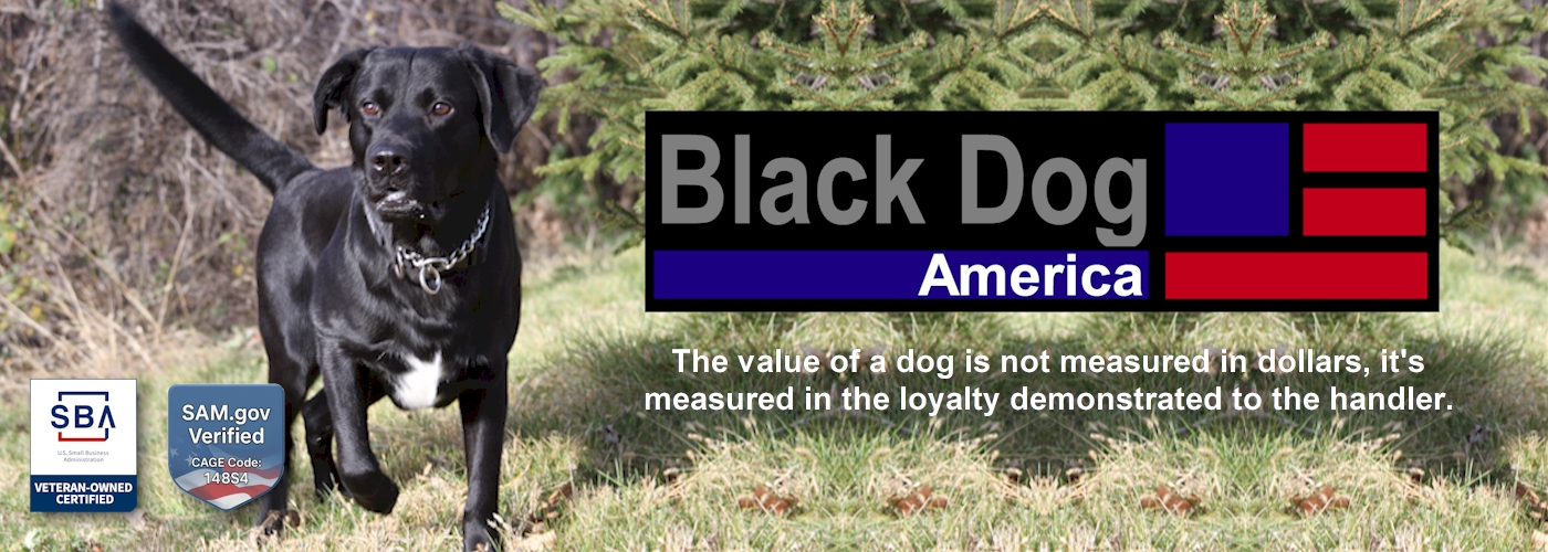 Black Dog America