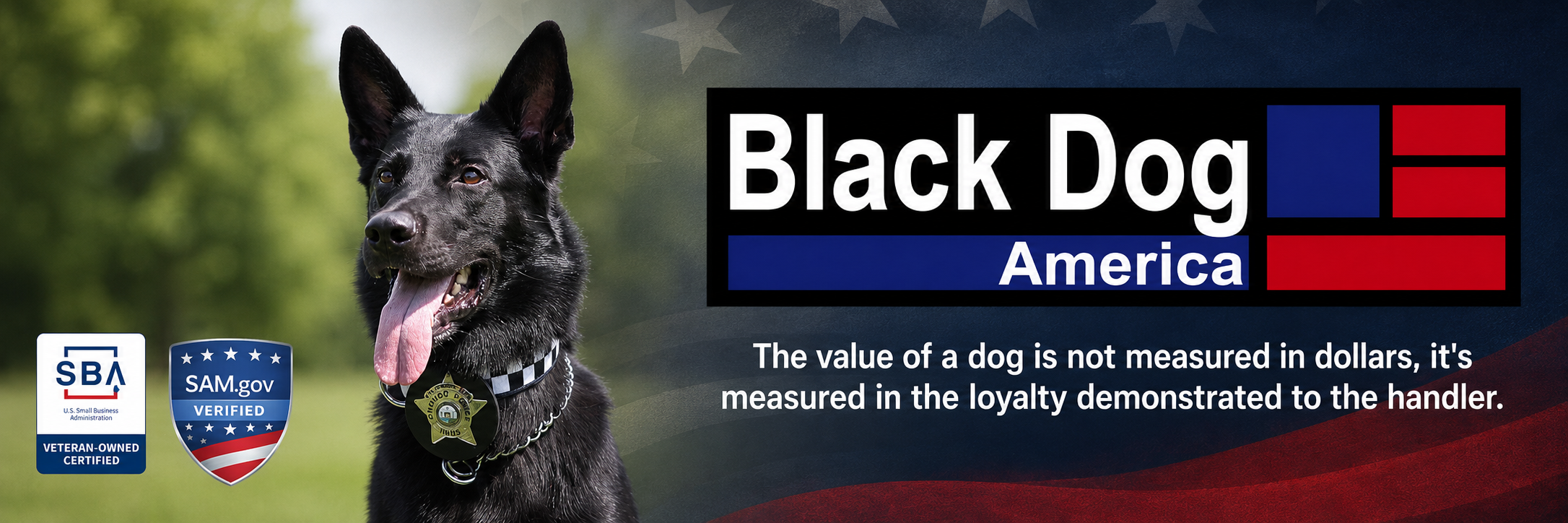 Black Dog America