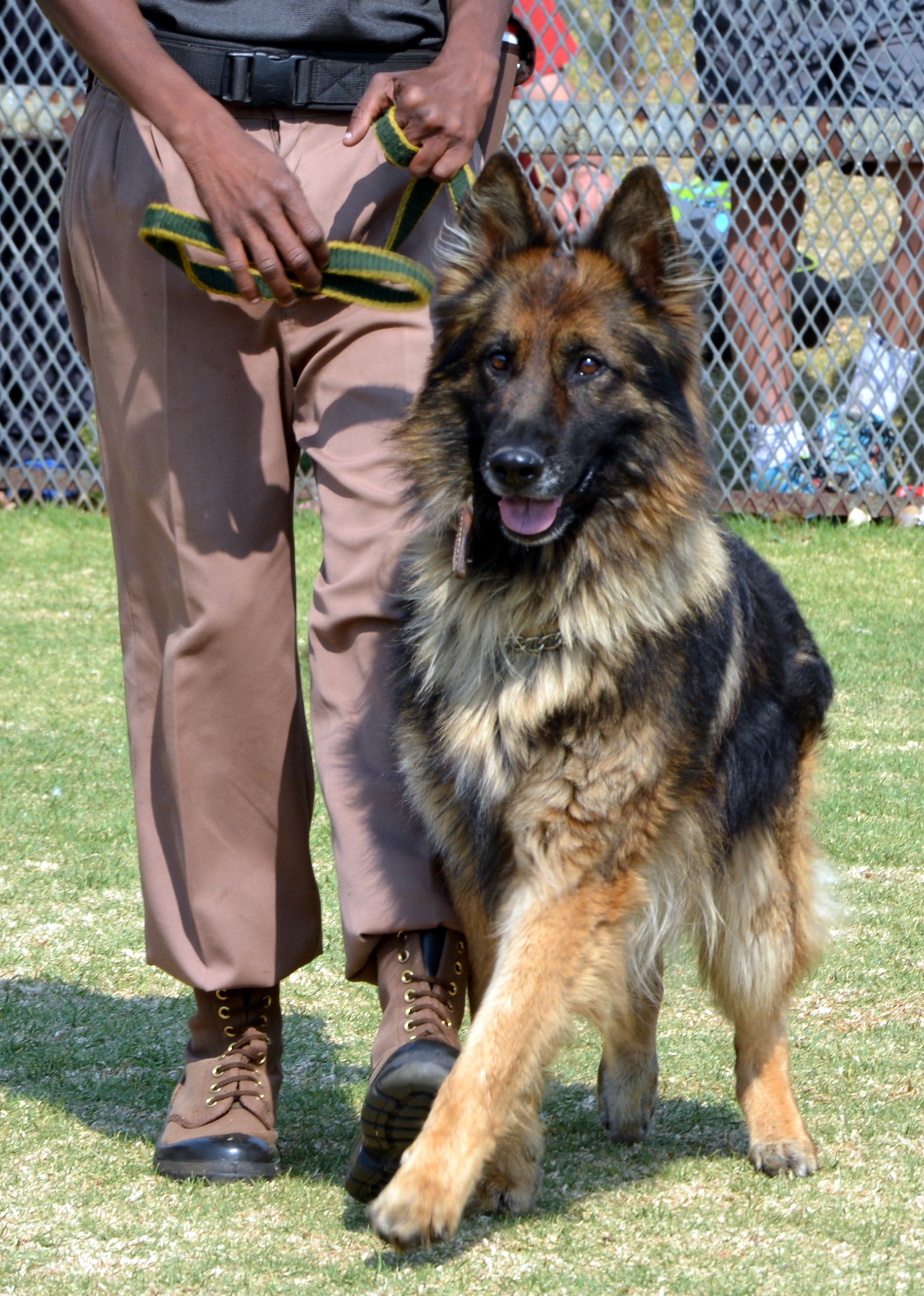 AI K9 Sniffing Box